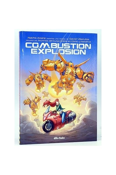 COMBUSTION EXPLOSION
